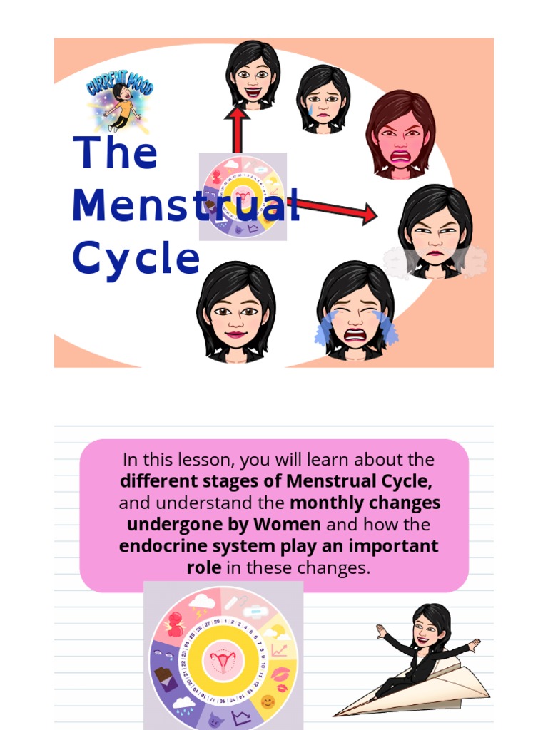 Understanding the Menstrual Cycle Phases | PDF | Menstrual Cycle ...