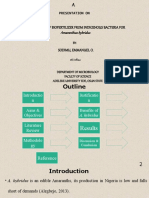 Production of Bio Fertilizer From Indigenous Bacteria For AMARANTUS HYBRIDUS