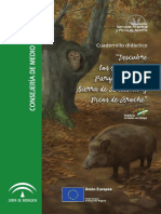 Cuaderno Didactico PDF
