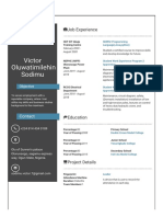Victor Oluwatimilehin Sodimu: Job Experience
