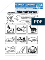 Ficha-de-Animales-Mamíferos-para-Primaria.doc