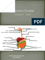 Digestive System: Is It Outdated? Or...... Adapted?