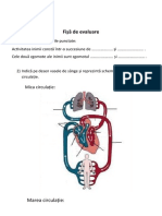 Fisa de Evaluare Mica Si Marea Circulatie