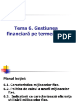 Tema 6 Gestiunea Financiara Pe TL