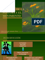 Control Postural y Movimiento