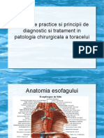 Microcurs Elemente Practice Si Principii de DG Si Trat in Patologia Chirurgicala A Toracelui - PPSX