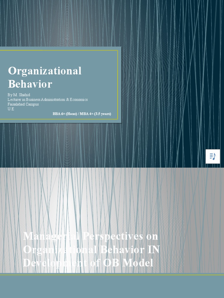 Lecture 5 Managerial Perspectives | PDF | Organizational Behavior ...