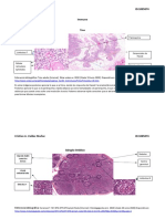 Tarea imagenes inmune-convertido