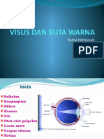 Visus Dan Buta Warna