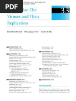 Download Flaviviridae the Viruses and Their Replication by Andrea Koishi SN46776233 doc pdf