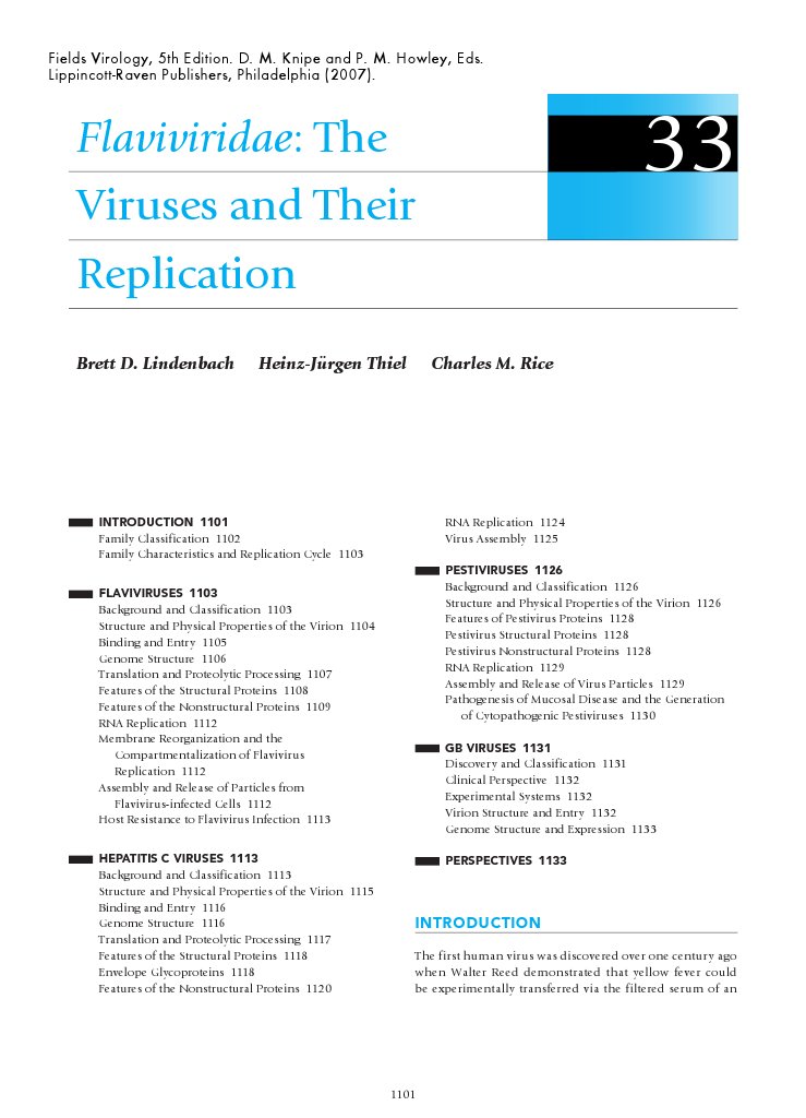 Flaviviridae: Structure and Replication | PDF | Virus | Proteins