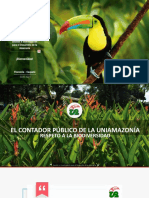 Perfil Del Contador Público Universidad de La Amazonia
