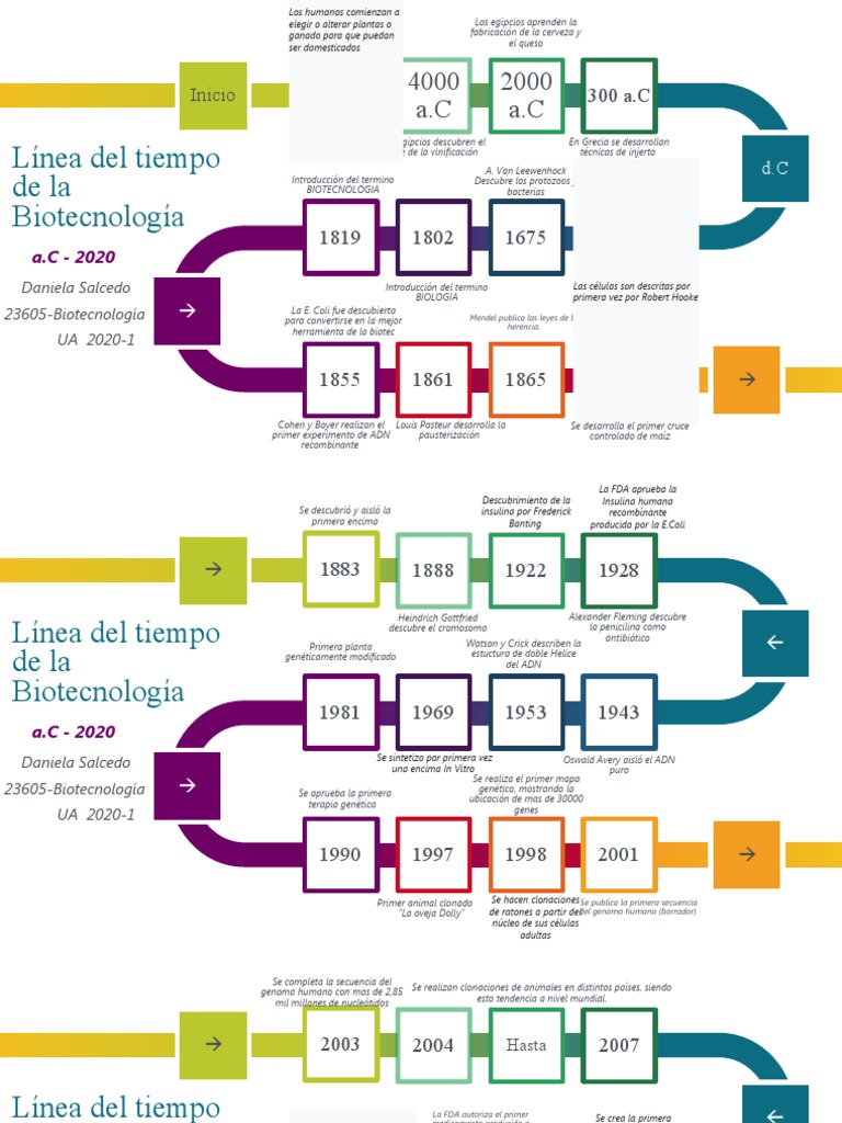 Línea del Tiempo de la Biotecnología | PDF | Ingeniería genética | Genética