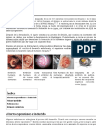Embrión.pdf