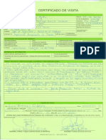 Visita Mutual de Seguridad PDF
