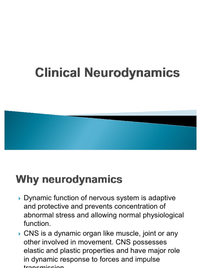 Clinical Neurodynamics Pdf Pain Nerve