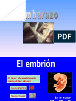 embarazo y desarrollo embrionario