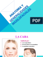 01 - ANATOMIA Y GENERALIDADES MAXILOFACIALES (1).pptx