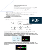 Sustitucion Nucleofilica Bimolecular (SN2) y Eliminacion Bimolecular (E2) PDF