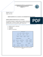 Pilco Carlos D6