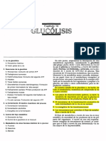 Copia de CAPITULO 16 Glucólisis PDF