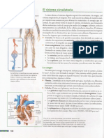 circulatorio 2019.pdf