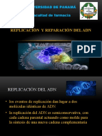 Replicación y Reparación Del ADN Bioquimica