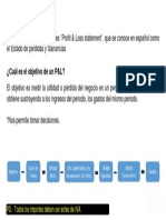 Presentacion P&L PDF