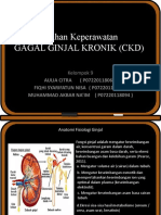 CKD 9