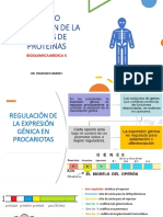 REPASO REGULACIÓN DE LA SÍNTESIS DE PROTEÍNAS.pdf