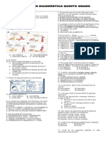 Examen Diagnostico 5to Grado