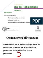 11-cruzamientos