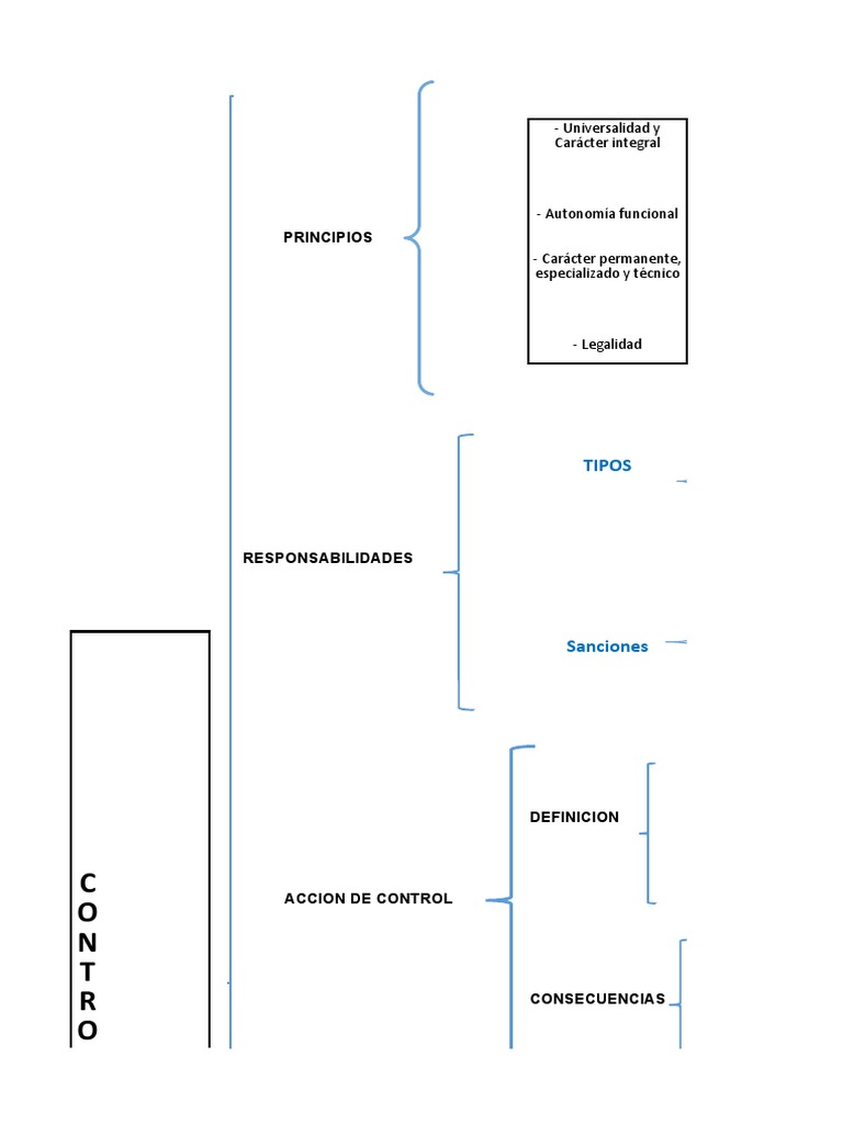 Control Gubernamental y Autonomía | PDF | Auditoría | Política
