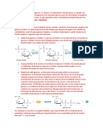 Metabolismo Del Glucogeno