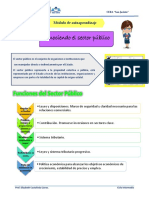 Sector Público PDF