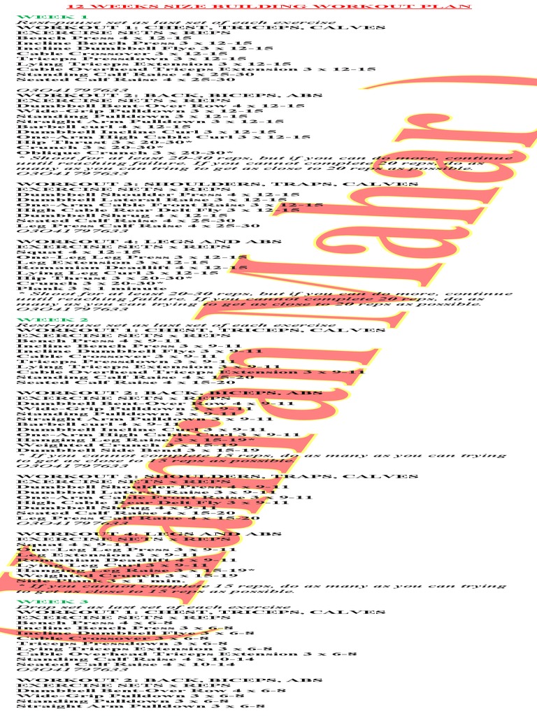 12 Weeks Workout Plan | PDF | Weight Training | Limbs (Anatomy)