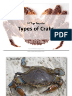Types of Crabs