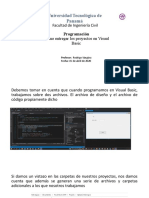 Como Entregar Los Proyectos en Visual Basic