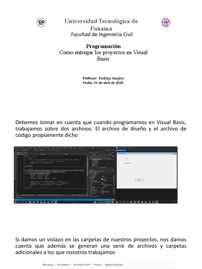 Entrega de Proyectos en Visual Basic | PDF | Informática | Negocios