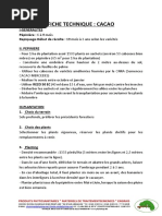 FICHE-TECHNIQUE-CACAO