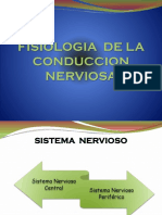 Fisiologia de La Conduccion Nerviosa - 3
