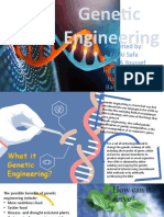Genetic Engineering: Presented By: Kouki Safa KHALFA Youssef Hizawi Maram Nsiri Hamza Barbar Mede