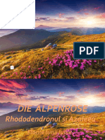 WWW - Nicepps.ro - 28725 - Die Alpenrose-Rhododendron