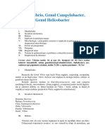 Vibrio, Campylobacter, Helicobacter - Curs 6.1 PDF