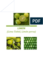 Monografia Del Limon