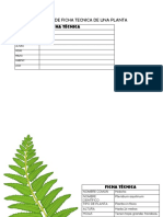 Modelo de Ficha Tecnica de Una Planta PDF