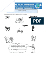 Ficha de Animales Invertebrados para Primaria