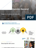 Curso 1 - Ig - Programa - Inducción - VF