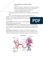 Caracteristicile Anatomice Si Fiziologice Ale Circulatiei Intrauterine - 7183