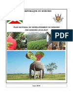 PND Burundi 2018-2027 Version Finale PDF